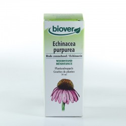 Echinacea purpurea • biover • 50 ml.